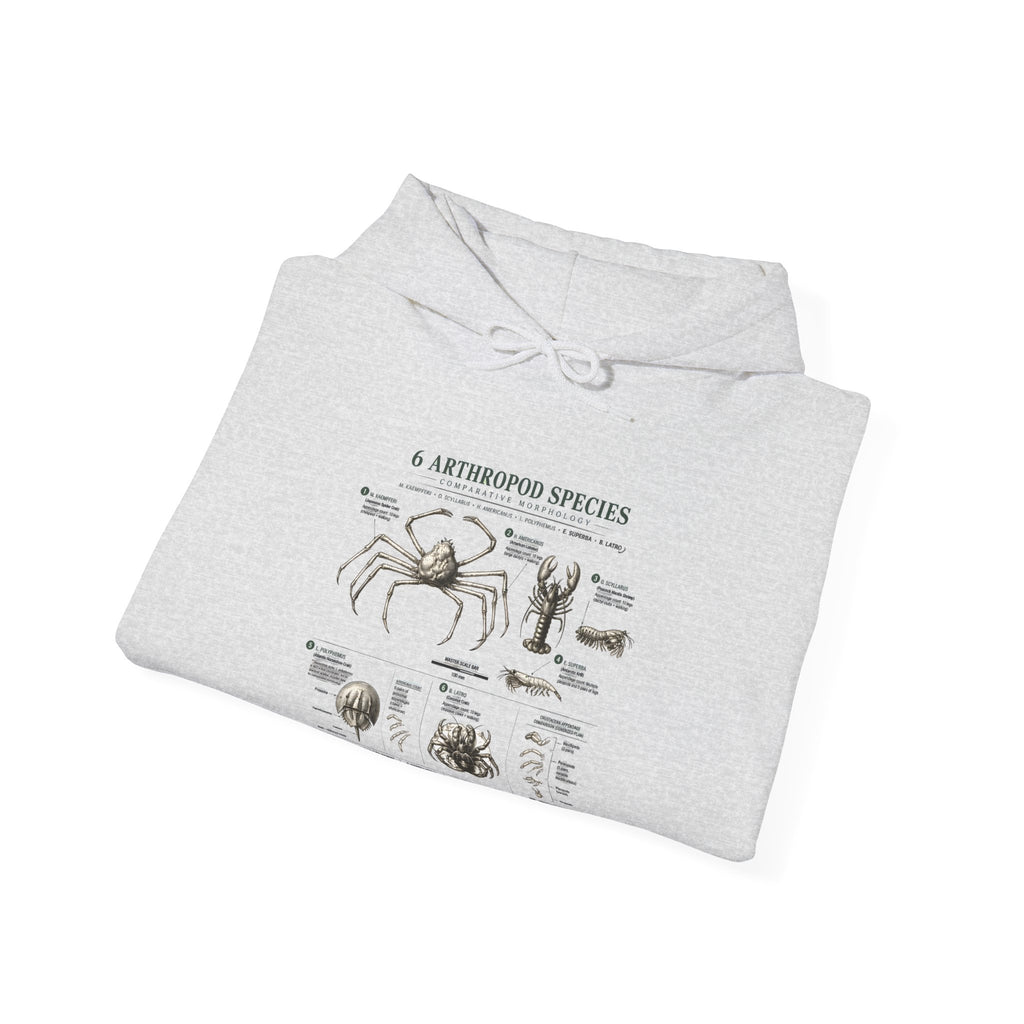 Arthropod Species Hoodie – Vintage Scientific Diagram Sweatshirt