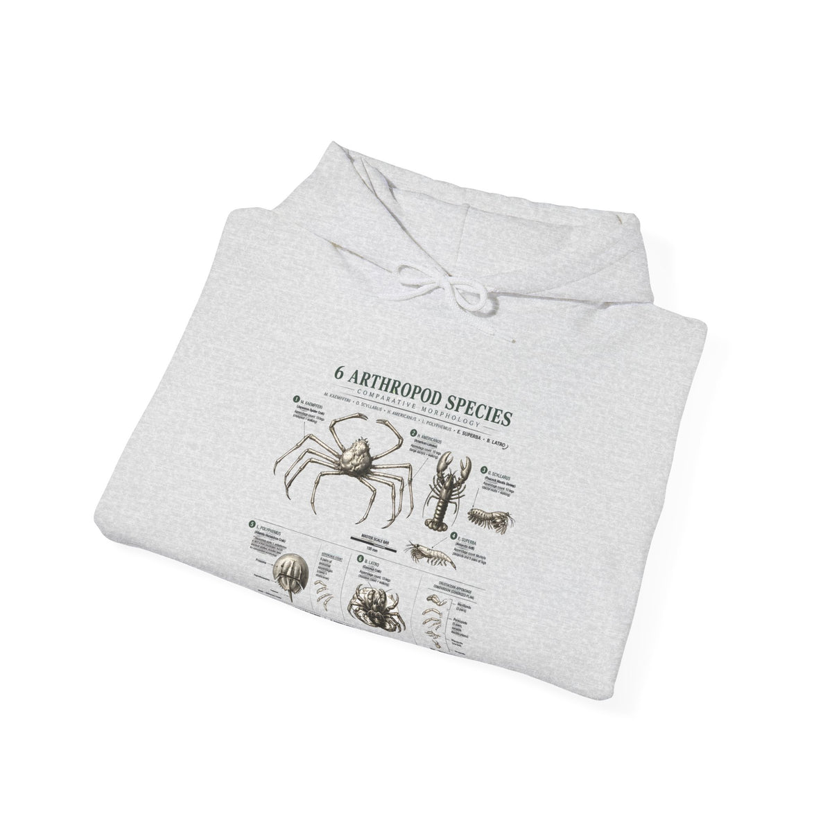 Arthropod Species Hoodie – Vintage Scientific Diagram Sweatshirt