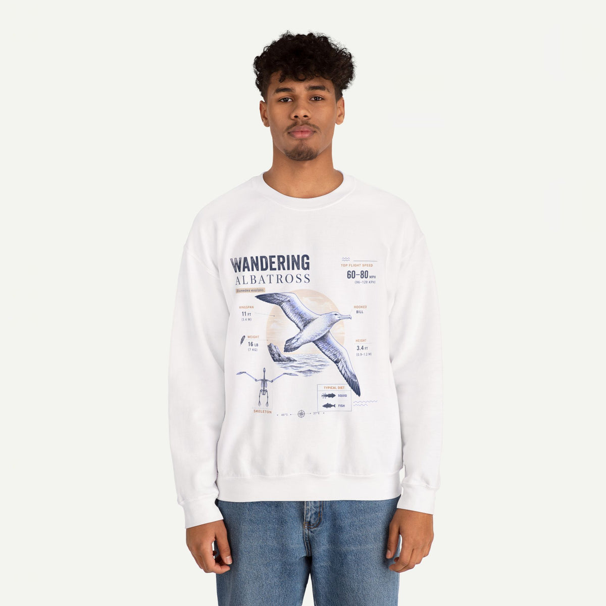 Wandering Albatross Anatomy Sweatshirt — Vintage Seabird Illustration