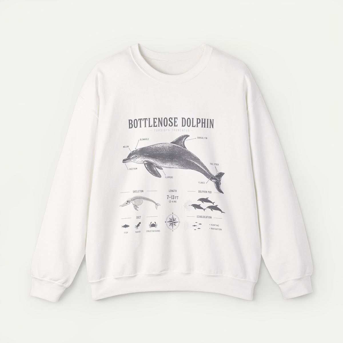 Bottlenose Dolphin Sweatshirt – Marine Life Educational Graphic