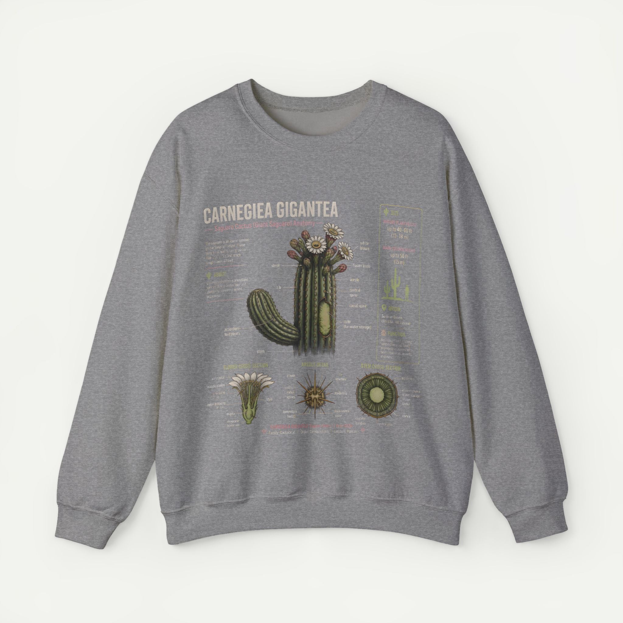 Carnegiea Gigantea Cactus Sweatshirt — Botanical Diagram Crewneck Secondary image