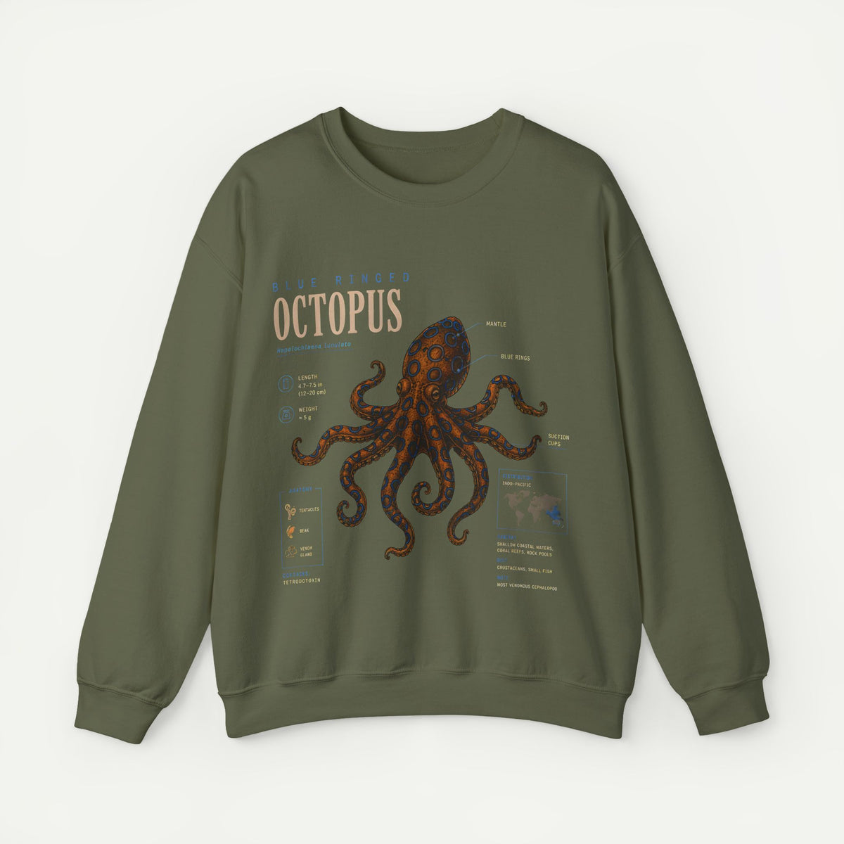 Octopus Anatomy Sweatshirt — Vintage Marine Illustration Crewneck