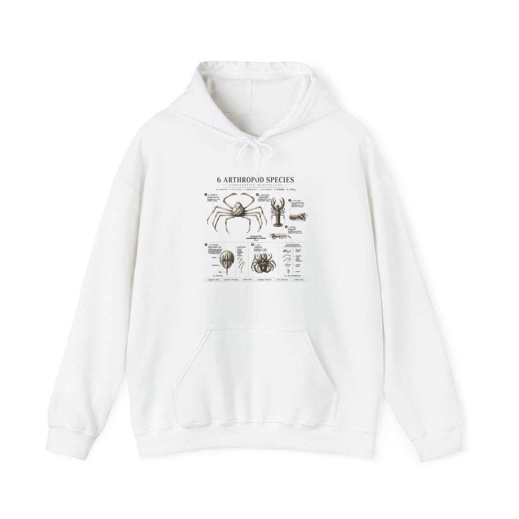 Arthropod Species Hoodie – Vintage Scientific Diagram Sweatshirt