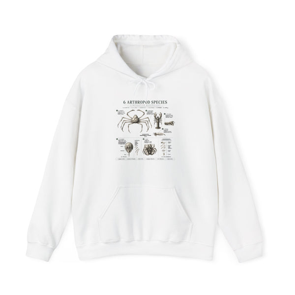 Arthropod Species Hoodie – Vintage Scientific Diagram Sweatshirt