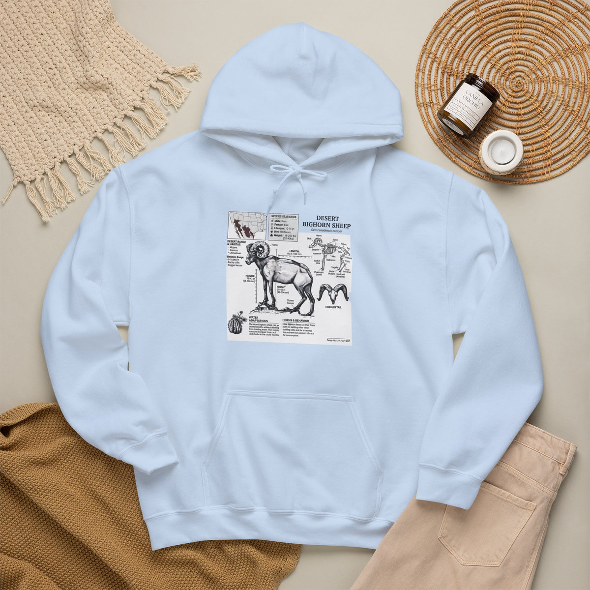 Dog Anatomy Hoodie – Vintage Canine Diagram Sweatshirt