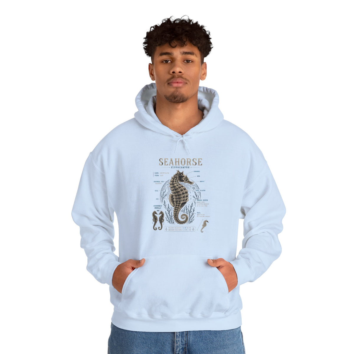 Seahorse Anatomy Hoodie — Vintage Marine Illustration Sweatshirt