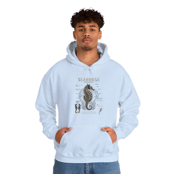 Seahorse Anatomy Hoodie — Vintage Marine Illustration Sweatshirt