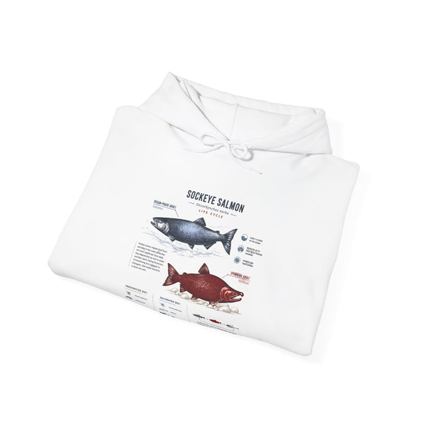 Salmon Species Hoodie — Sockeye & Chinook Fish Identification Graphic Hoodie