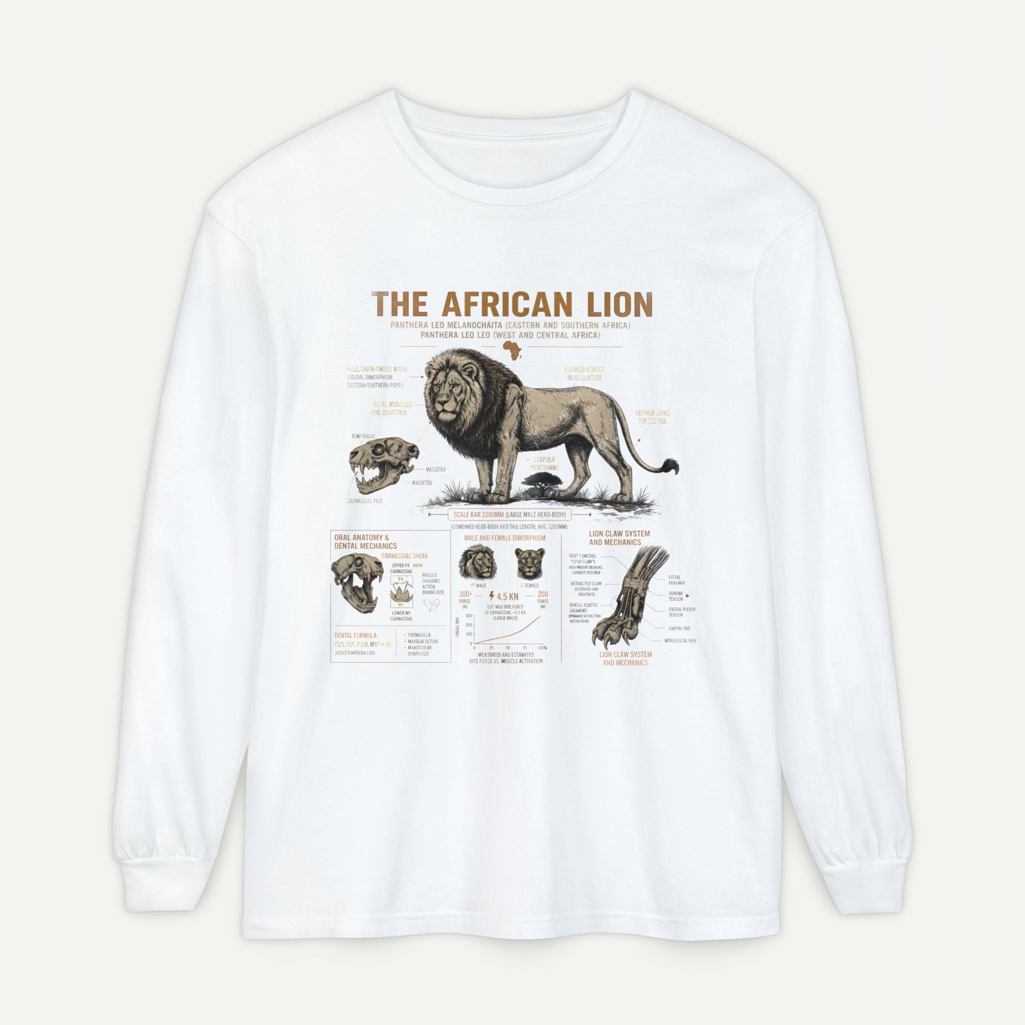 The African Lion Anatomy Long Sleeve Shirt Secondary image