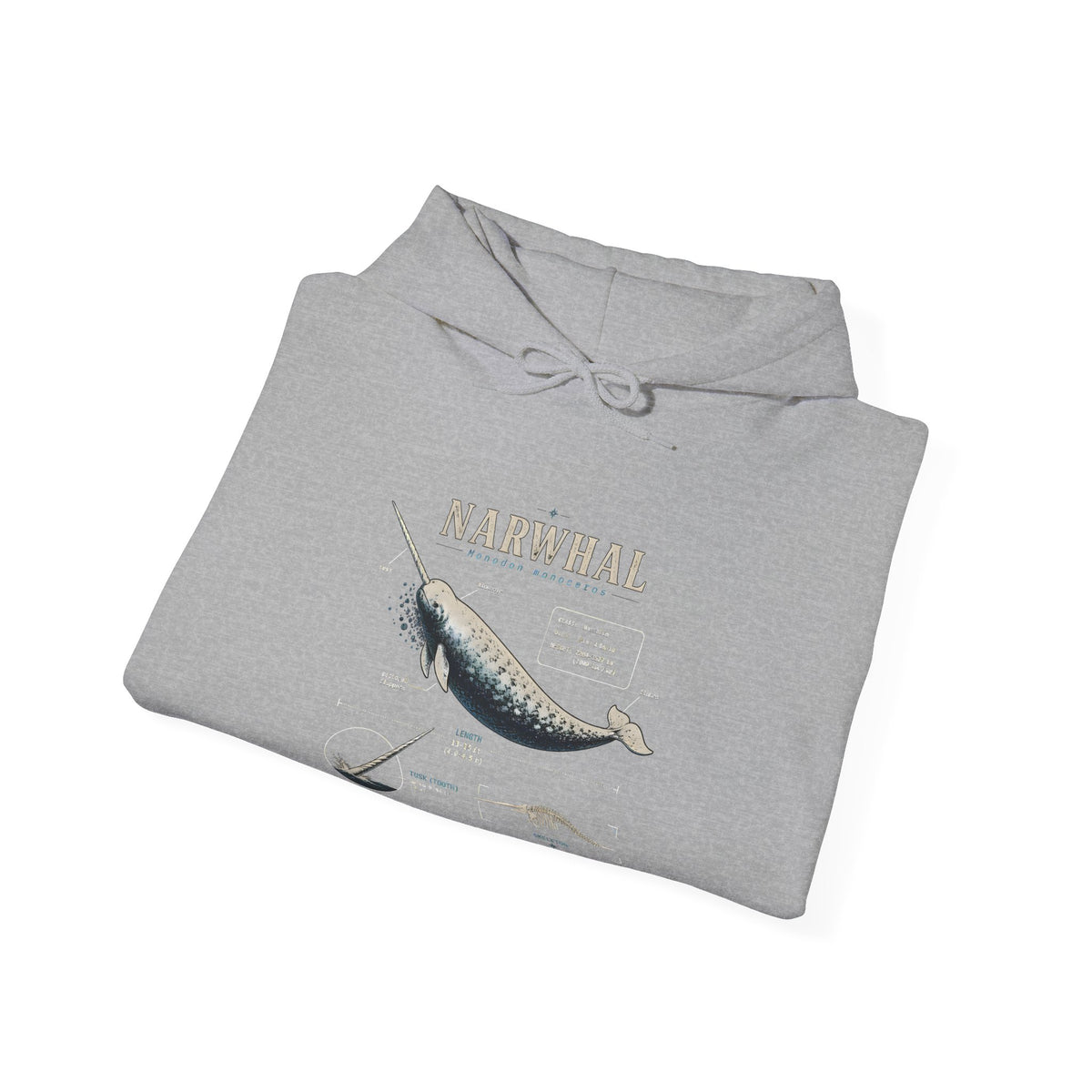 Narwhal Hoodie — Vintage Tailplane Illustration, Aviation Crew Sweatshirt