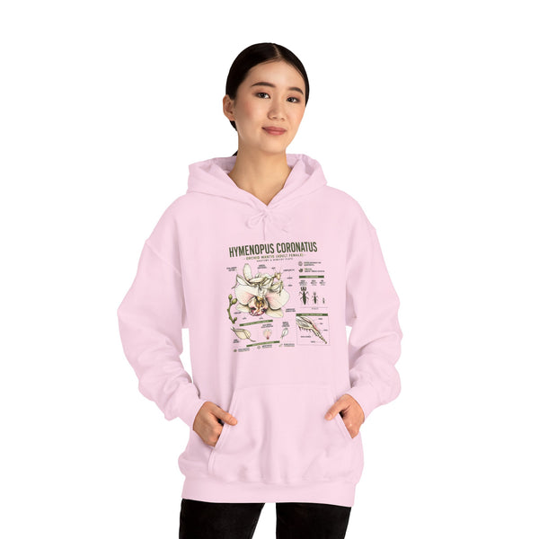 Botanical Hooded Sweatshirt — Hymenopus Coronatus Praying Mantis Illustration