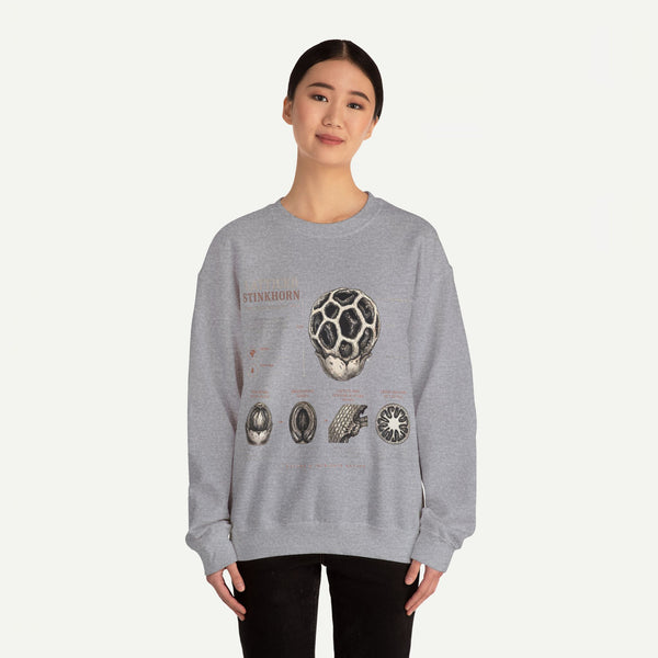 Mushroom Anatomy Sweatshirt – Latticeed Stinkhorn Mycology Crewneck