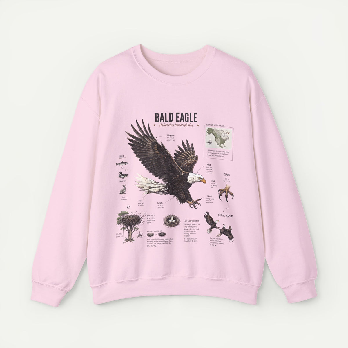 Bald Eagle Anatomy Sweatshirt