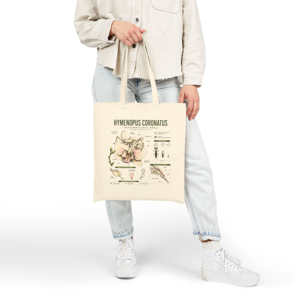 Hymenopus Coronatus Botanical Tote Bag — Praying Mantis Anatomy Canvas Tote