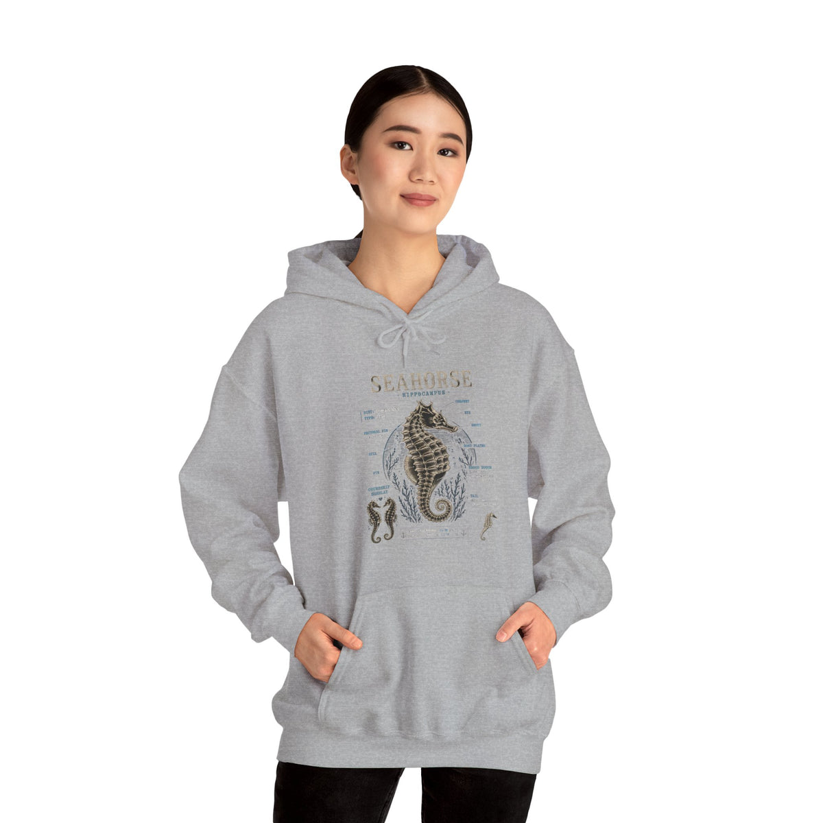 Seahorse Anatomy Hoodie — Vintage Marine Illustration Sweatshirt