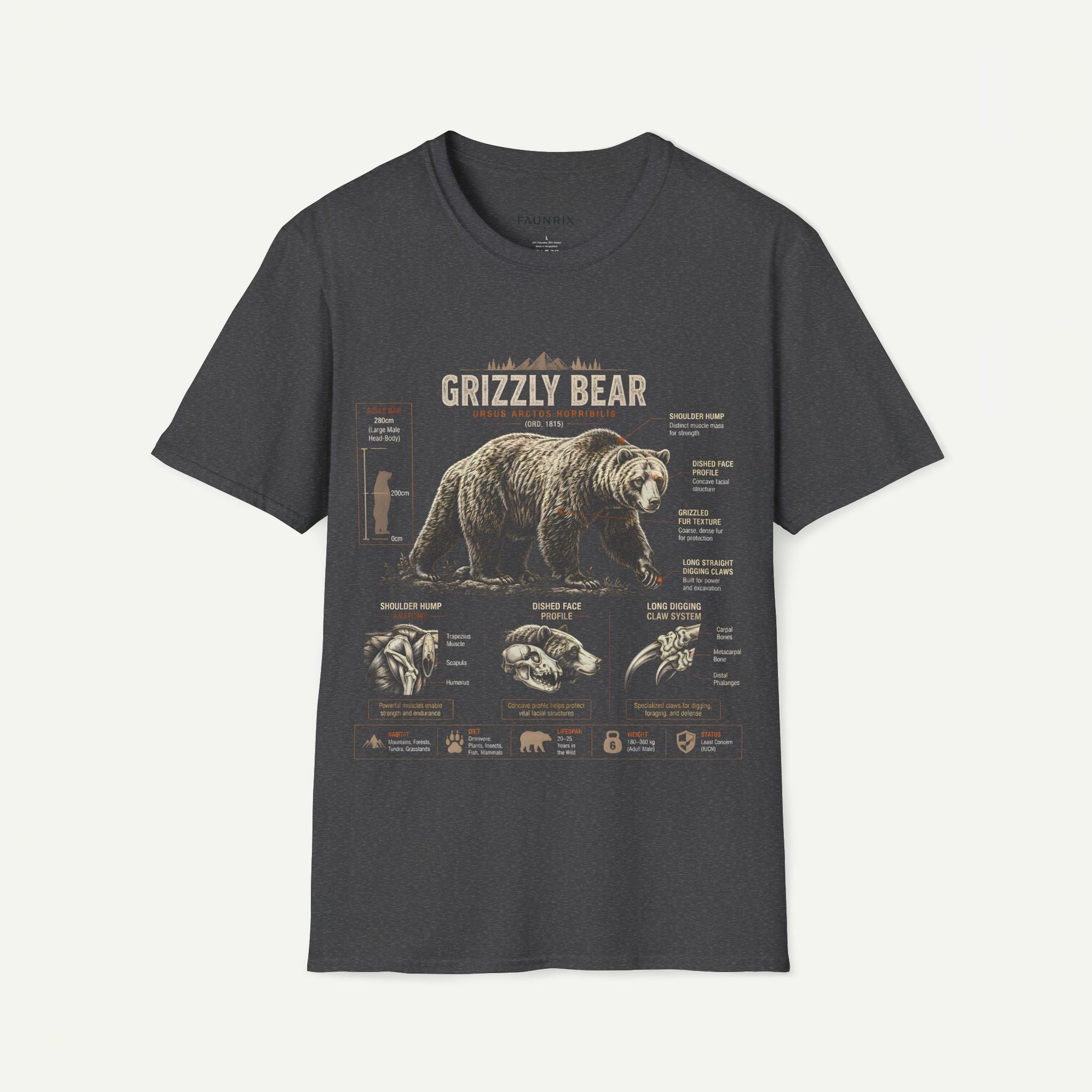 Grizzly Bear Anatomy Vintage Graphic T-Shirt — Wildlife Animal Tee Secondary image