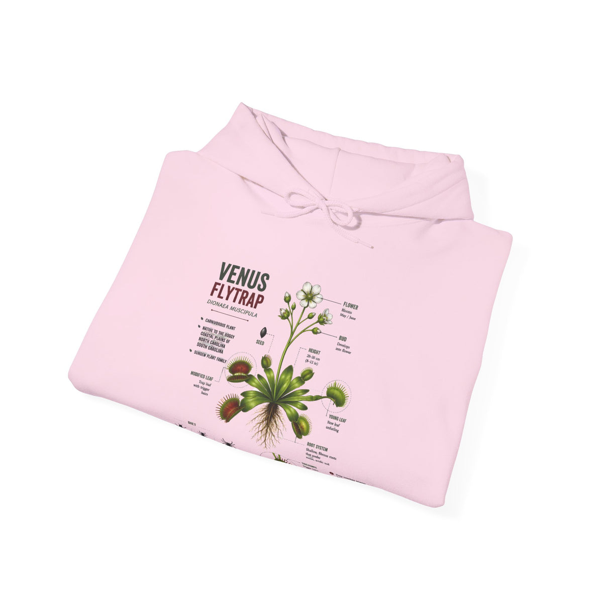 Venus Flytrap Botanical Hoodie – Illustrated Carnivorous Plant Guide