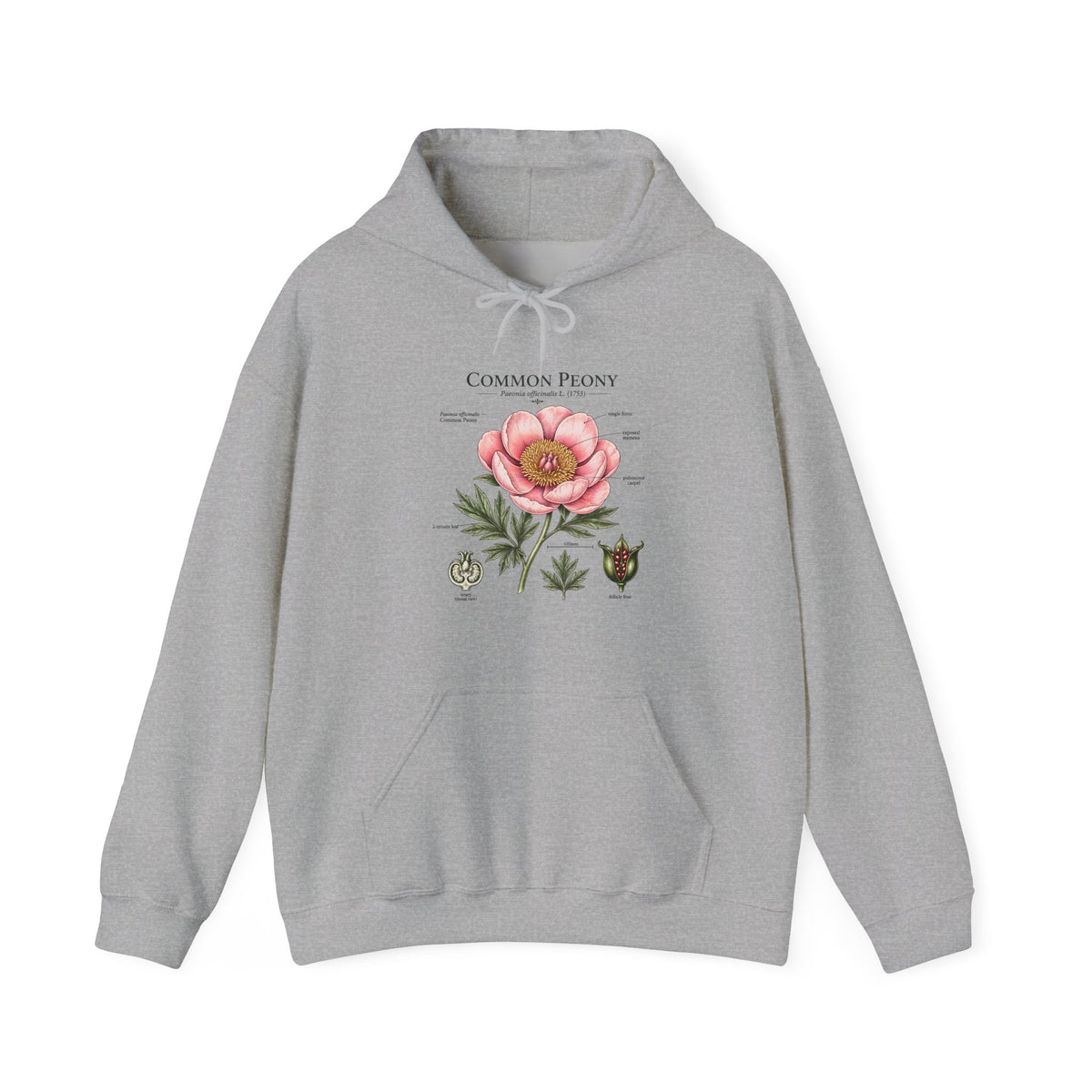 Peony Botanical Hoodie — "Common Peony" Vintage Floral Diagram Sweatshirt