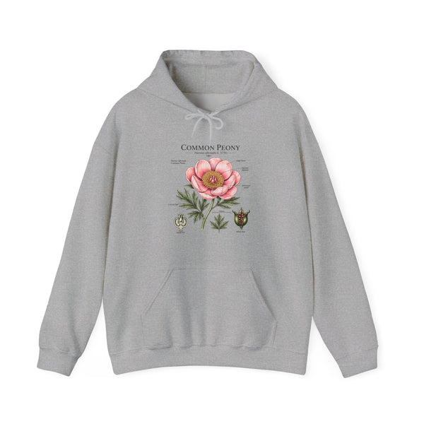 Peony Botanical Hoodie — "Common Peony" Vintage Floral Diagram Sweatshirt