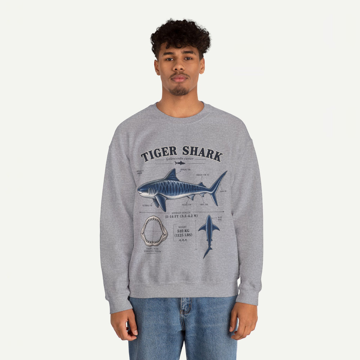 Tiger Shark Anatomy Sweatshirt