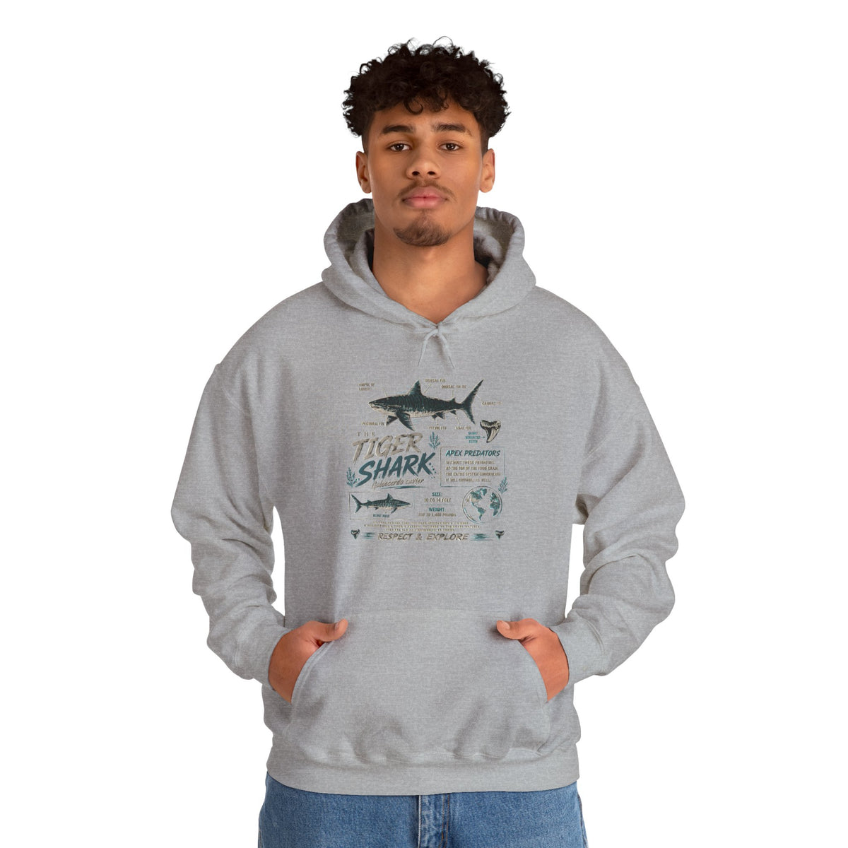 Tiger Shark Illustration Hoodie — Marine Biology Graphic Pullover (Tiger Shark Facts)