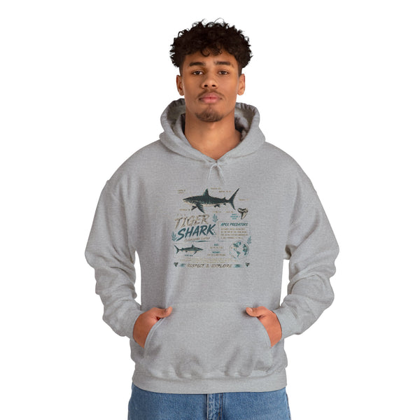 Tiger Shark Illustration Hoodie — Marine Biology Graphic Pullover (Tiger Shark Facts)