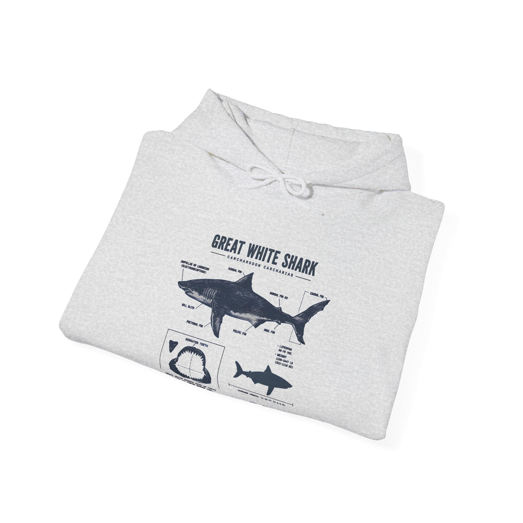 Shark Diagram Hoodie — Great White Shark Anatomy Graphic Sweatshirt