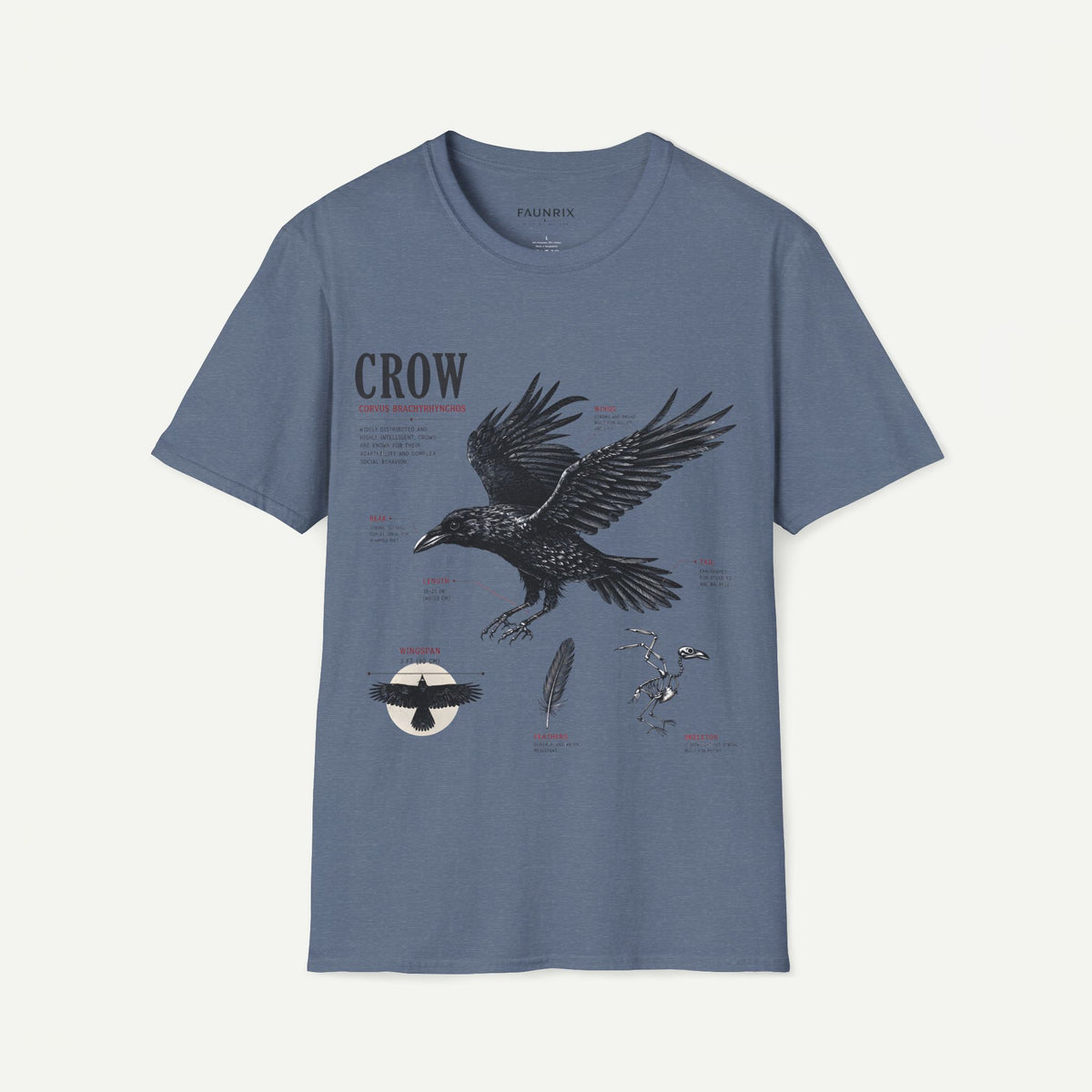 Crow Anatomy Graphic T-Shirt — Vintage Raven Illustration Tee