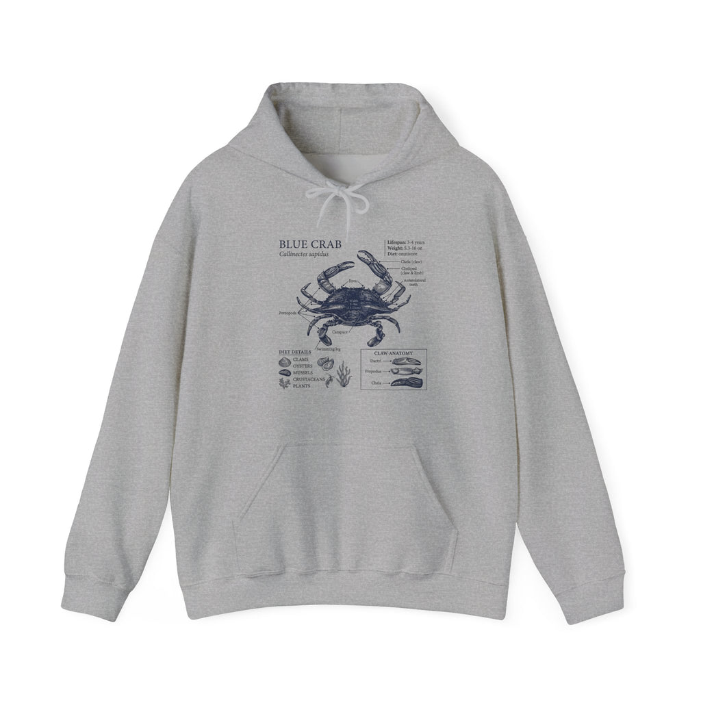 Blue Crab Anatomy Hoodie – Nautical Marine Biology Graphic Sweatshirt