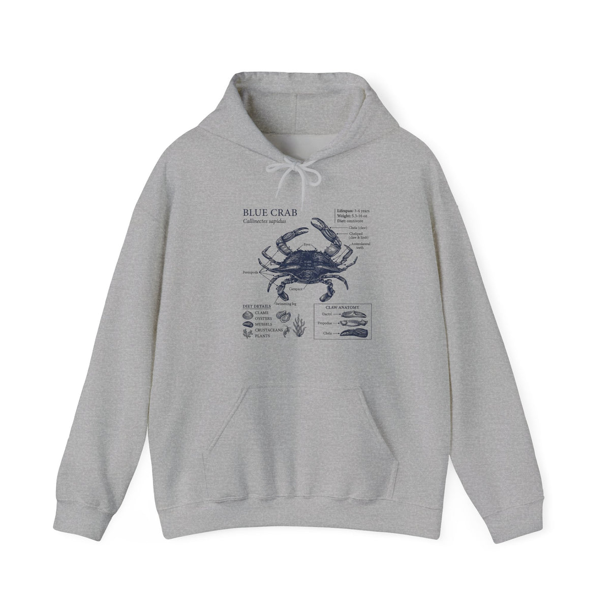 Blue Crab Anatomy Hoodie – Nautical Marine Biology Graphic Sweatshirt