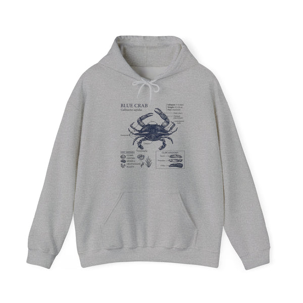 Blue Crab Anatomy Hoodie – Nautical Marine Biology Graphic Sweatshirt