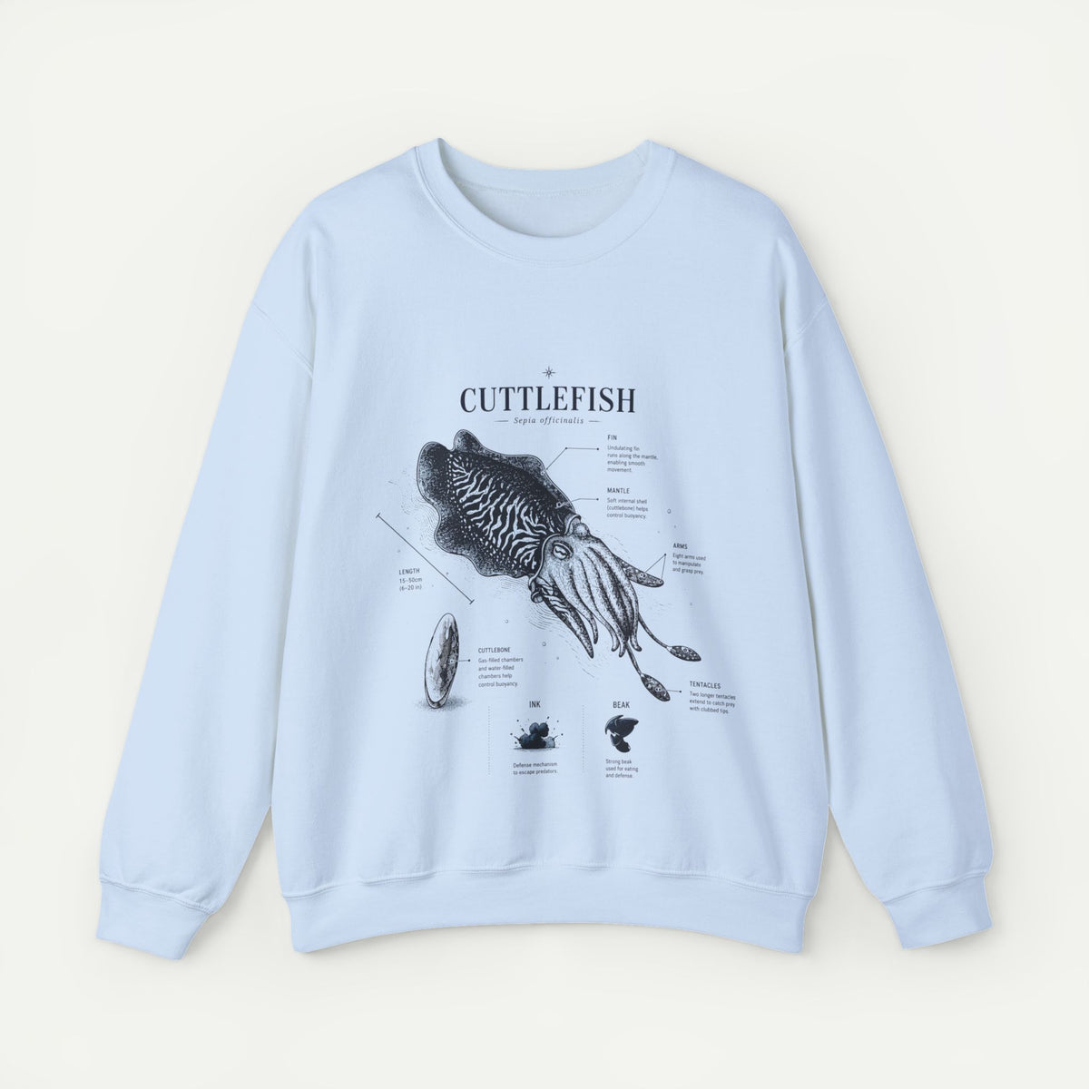 Cuttlefish Anatomy Crewneck Sweatshirt