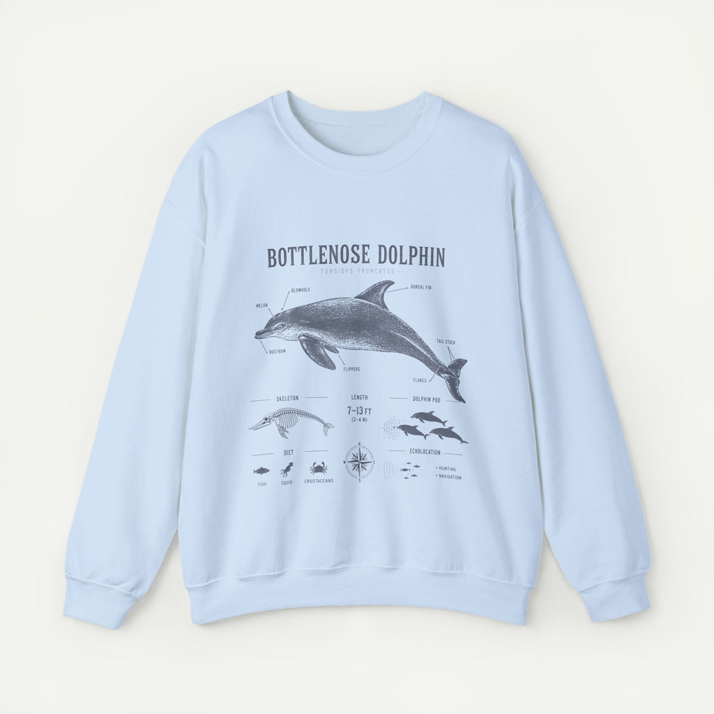 Bottlenose Dolphin Sweatshirt – Marine Life Educational Graphic