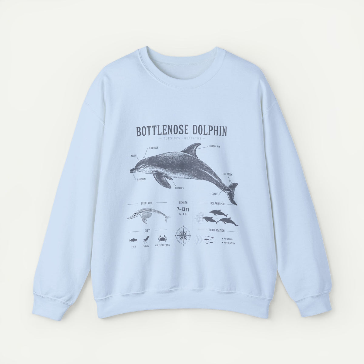 Bottlenose Dolphin Sweatshirt – Marine Life Educational Graphic
