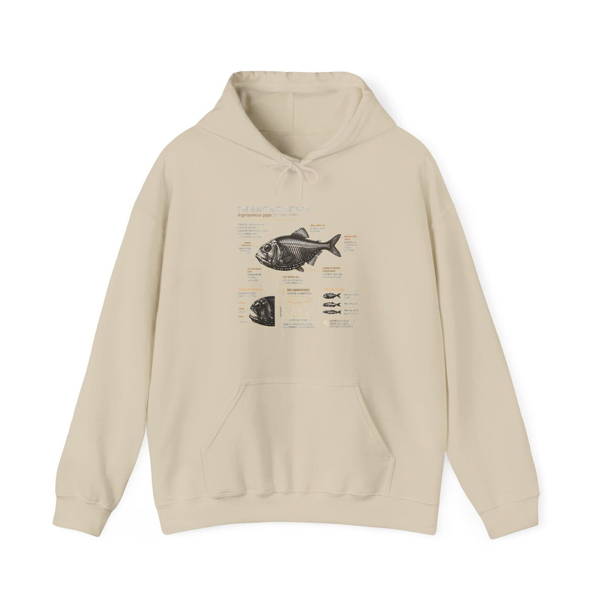 Blackfish Anatomy Hoodie – Fish Identification Diagram Sweatshirt