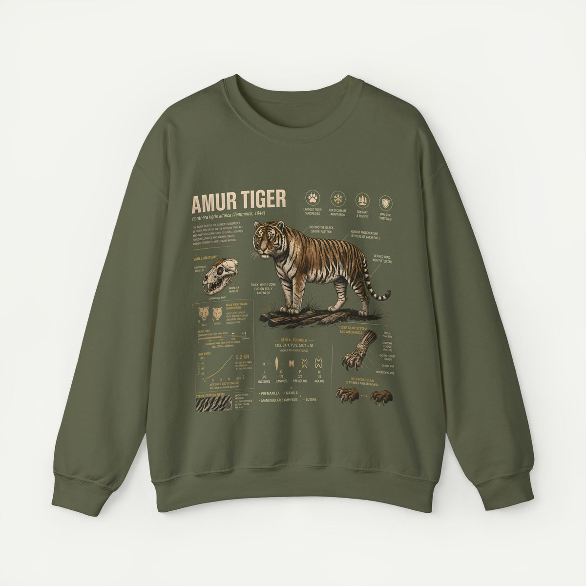 Amur Tiger Anatomy Sweatshirt — Wildlife Illustration Crewneck