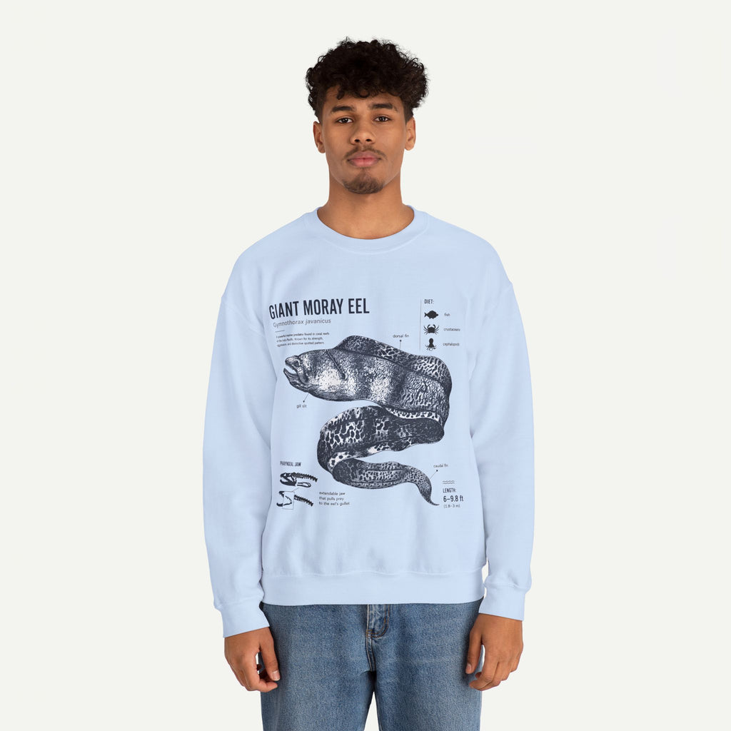 Giant Moray Eel Anatomy Sweatshirt