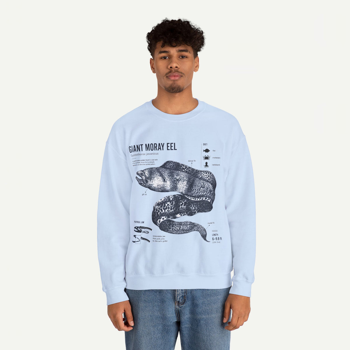 Giant Moray Eel Anatomy Sweatshirt