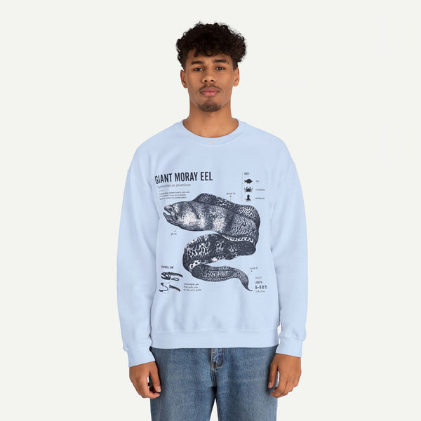 Giant Moray Eel Anatomy Sweatshirt