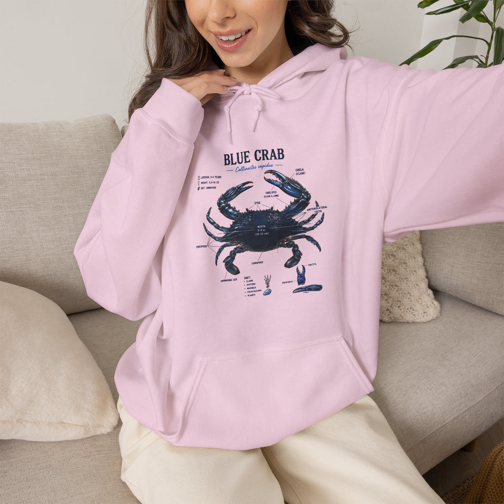 Blue Crab Anatomy Hoodie — Nautical Marine Biology Graphic Sweatshirt