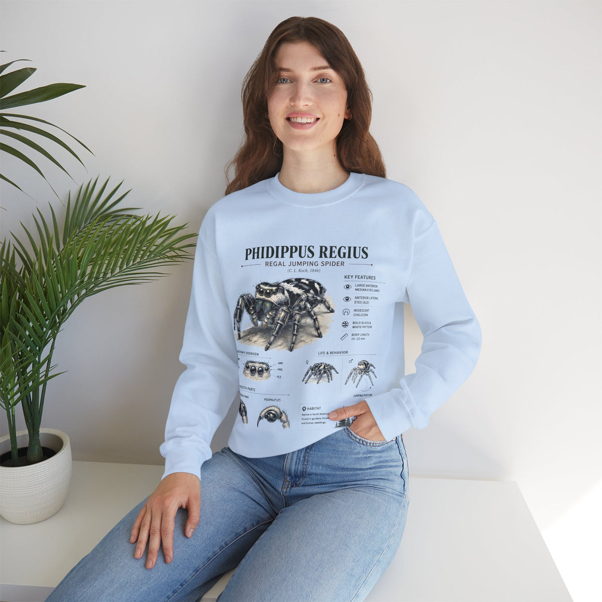 Spider Anatomy Crewneck Sweatshirt — Phidippus Regius Jumping Spider Illustration