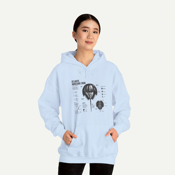 Horseshoe Crab Anatomy Hoodies