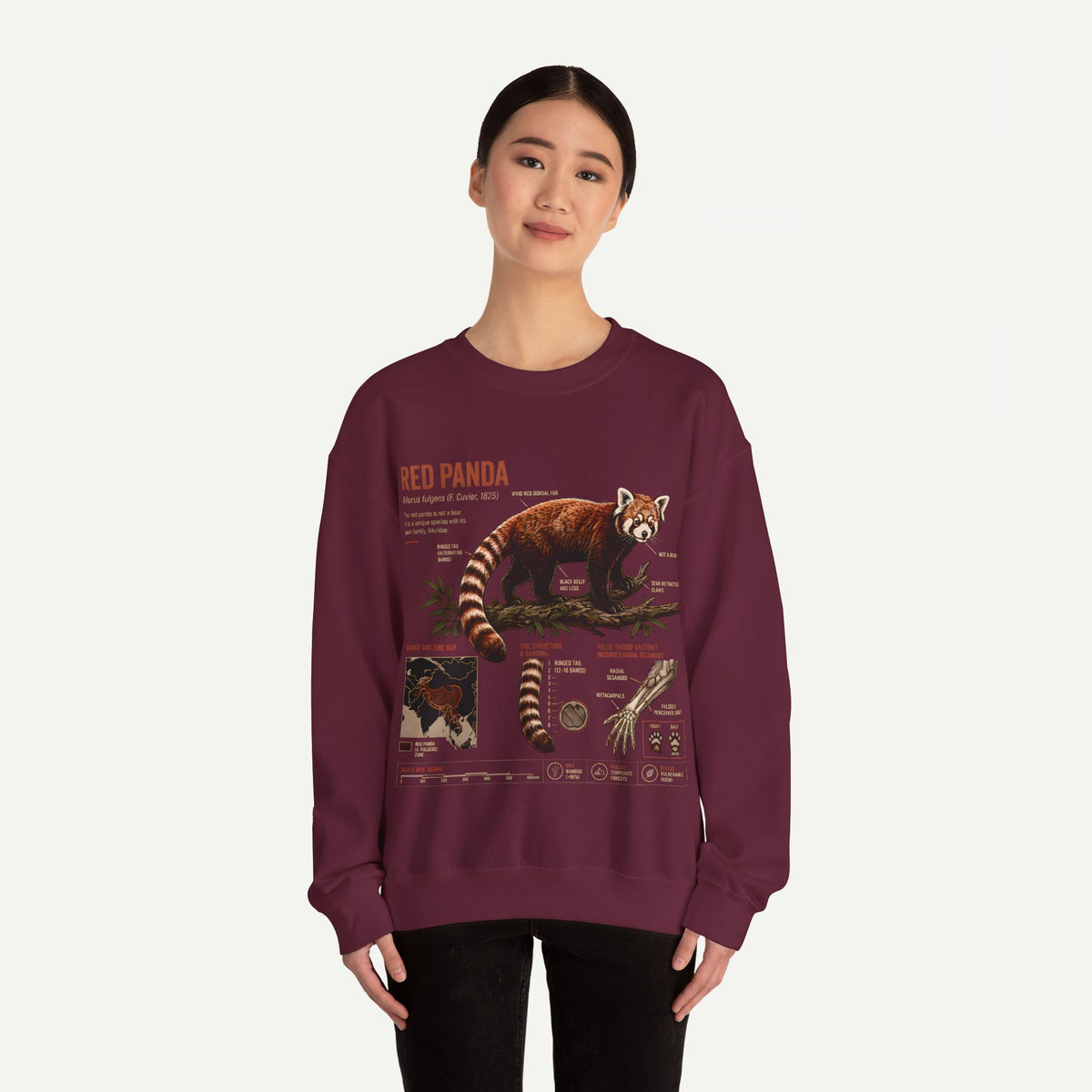 Red Panda Anatomy Sweatshirt — Vintage Wildlife Crewneck