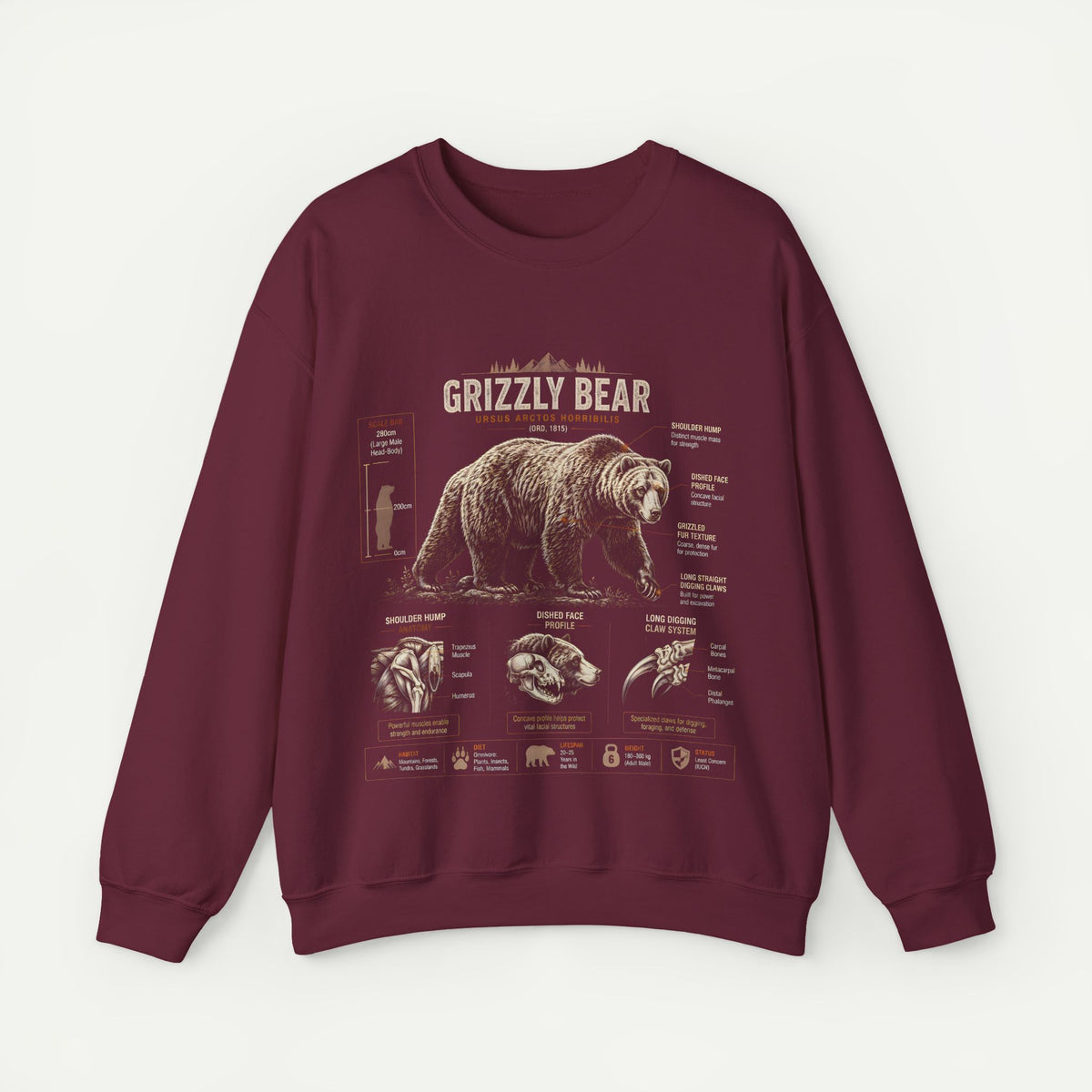 Grizzly Bear Anatomy Crewneck Sweatshirt — Vintage Wildlife Graphic Pullover Main image