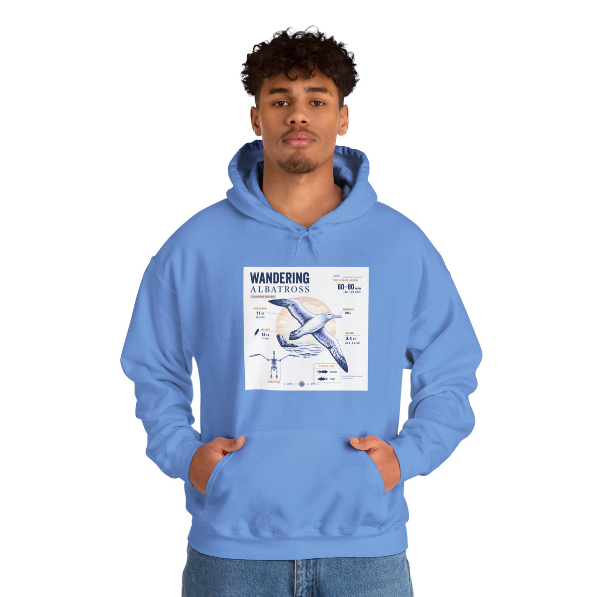 Wandering Albatross Hoodie — Illustrated Sea Bird Anatomy Pullover