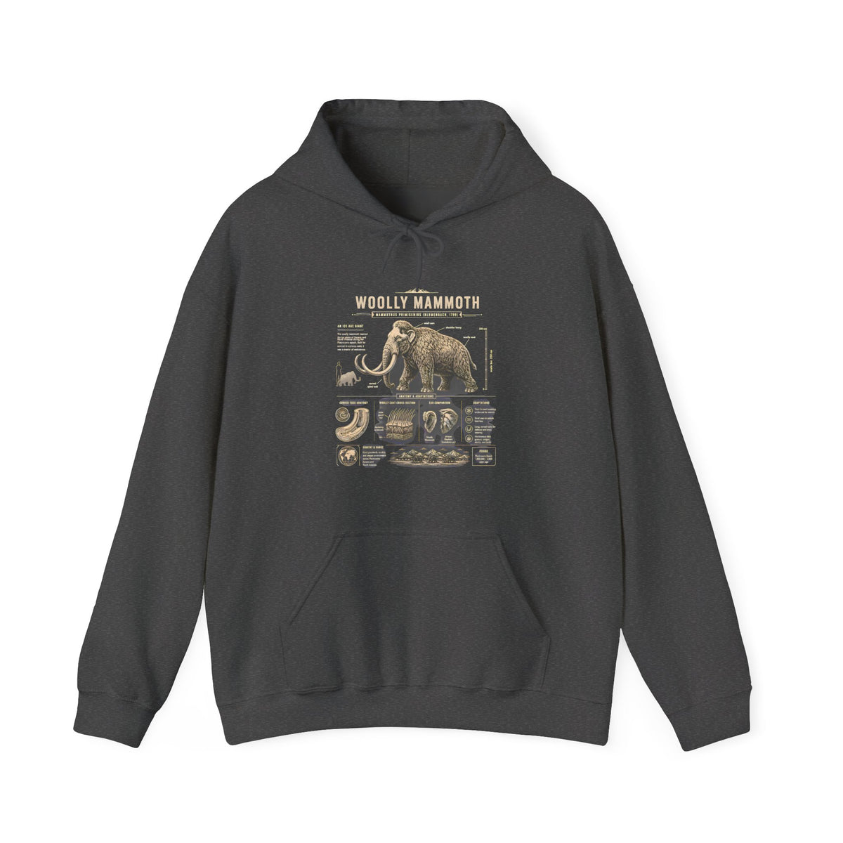 Woolly Mammoth Diagram Hoodie — Vintage Natural History Graphic Sweatshirt Main image