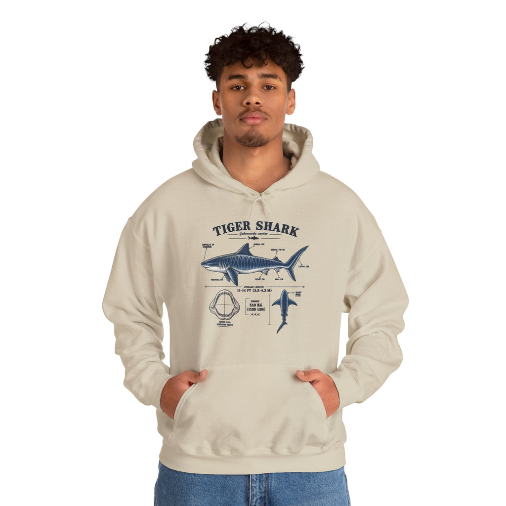 Tiger Shark Anatomy Hoodie — Nautical Science Graphic Pullover