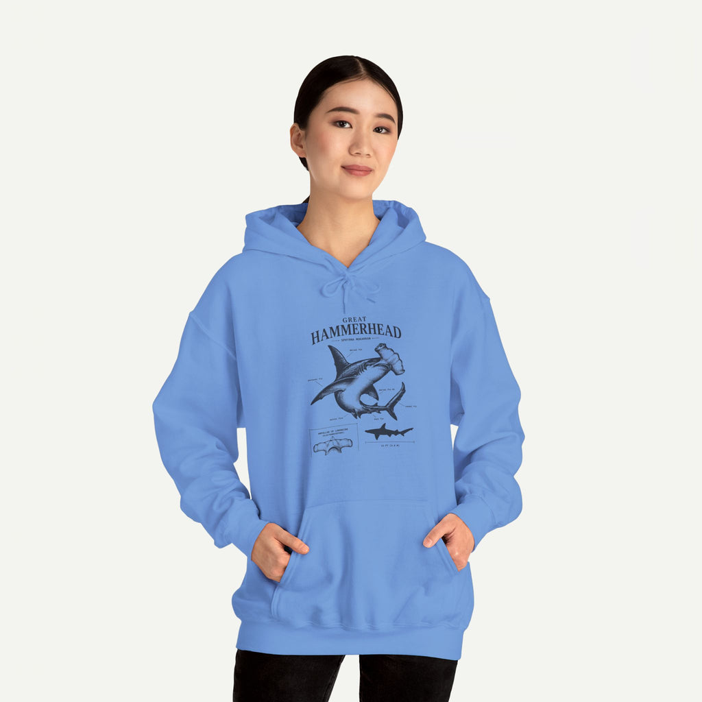 Hammerhead Shark Anatomy Hoodie – Marine Biology Graphic