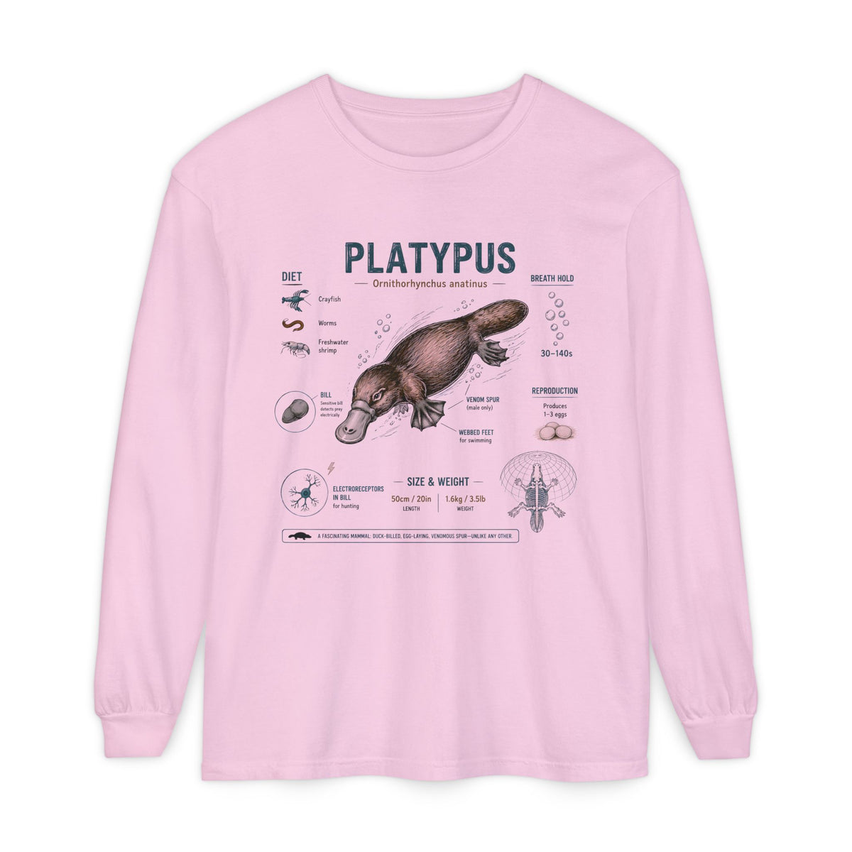 Platypus Anatomy Long Sleeve Tee — Illustrated Scientific Graphic