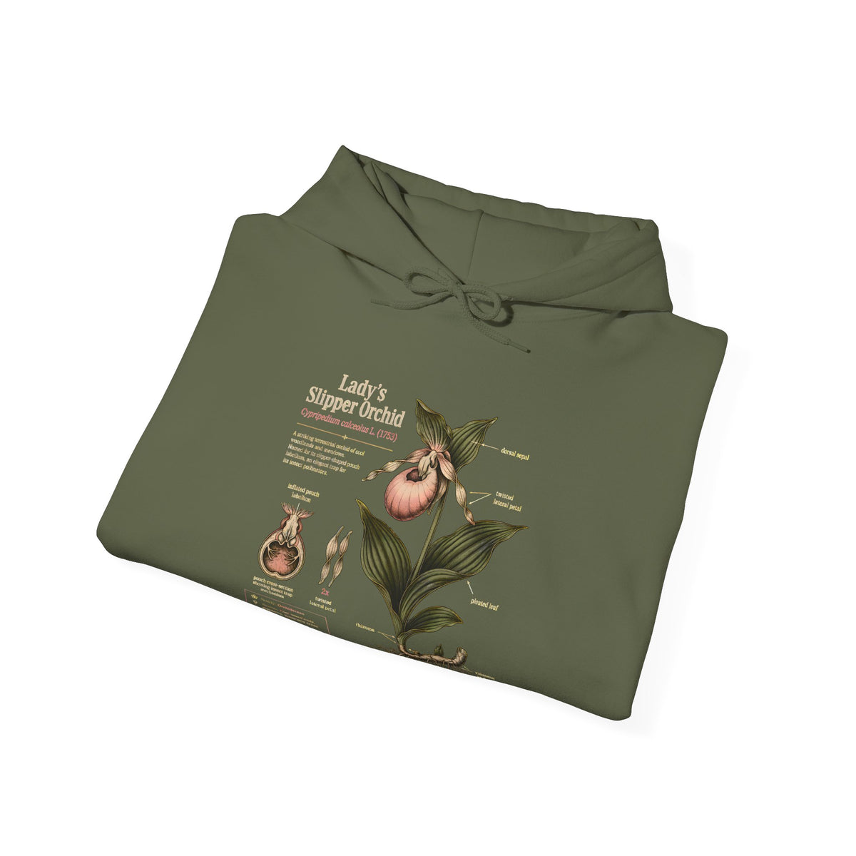 Botanical Peach Illustration Hoodie — Vintage Botanical Chart Sweatshirt